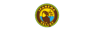 METALLA | Ecommerce Marketing Agency 15 IPANEMA VALLEY
