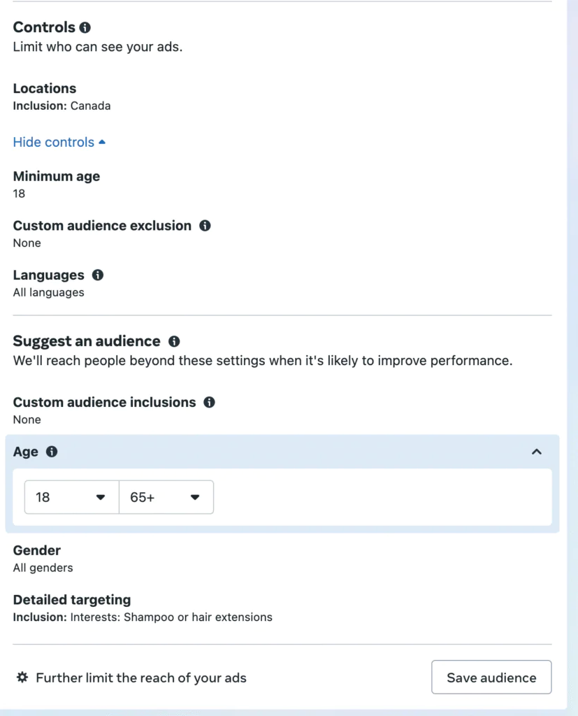 Screenshot of Audience Controls in Meta Ads.